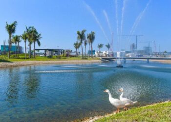 HABRÁ GANSOS EN DOS BOCAS: ROCIÓ NAHLE COMPARTE FOTO DESDE REFINERÍA