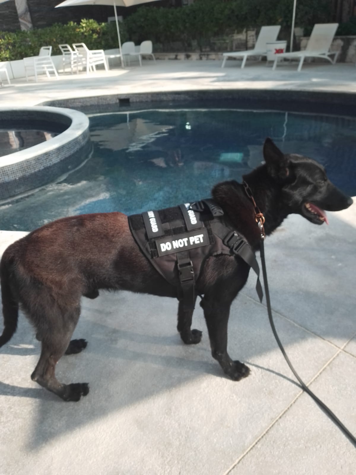 Mamita’s Beach Club refuerza seguridad para la protección de turistas