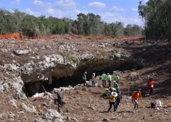 Juez suspende obras del tramo 5 del tren maya ante posible afectación ambiental