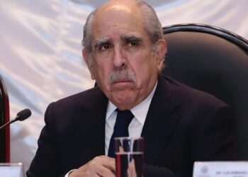 INE “no es la gran cosa” y es “brutalmente costoso”: Pablo Gómez