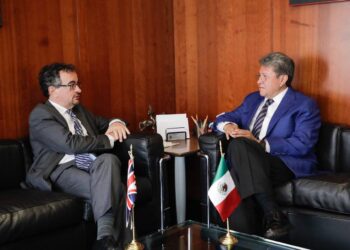 MESAS DE TRABAJO, EN EL SENADO, PARA ANALIZAR TRATADO COMERCIAL CON REINO UNIDO