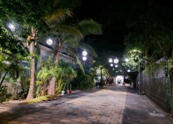 Reordenamiento de la Quinta Avenida no se detiene