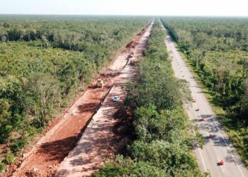 AMLO expropia un millón de metros cuadrados para tramo 5 del Tren Maya
