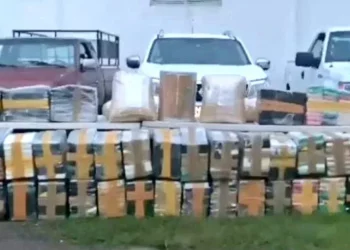 Aseguran en Chiapas casi una tonelada de cocaína