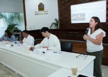 Buscan proteger árboles en Solidaridad