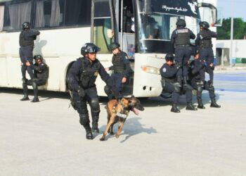 Gobierno de Lili Campos apuesta por la capacitación a elementos policiacos