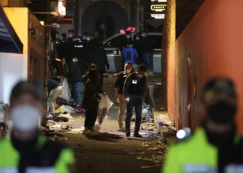 Seúl trata de identificar a 270 desaparecidos en estampida de Halloween