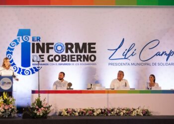 La renovación de Solidaridad avanza: Lili Campos