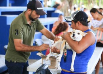 Fortalecen salud de mascotas en Solidaridad