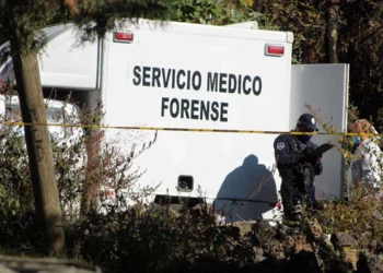 Perro con pierna humana en el hocico conduce al hallazgo de mega fosa clandestina en Irapuato