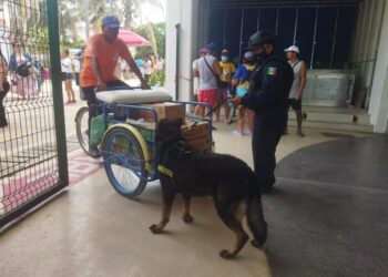 Unidad Canina contribuye en la reducción delictiva en Solidaridad