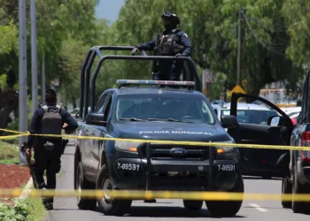 Violencia deja al menos 12 muertos en Guanajuato en 24 h