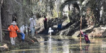 Rescatan antiguo canal de centro de Tláhuac