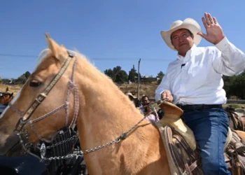 No confío en encuesta de Morena para candidatura presidencial: Monreal