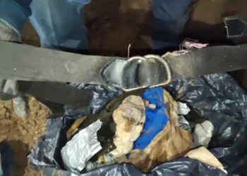 Hallan fosa clandestina en Irapuato con al menos 7 cuerpos