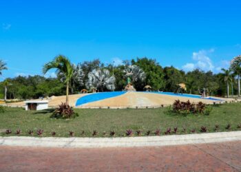 Embellecen la ciudad con plantas nativas