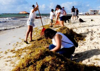 Gobierno intensifica limpieza de playas