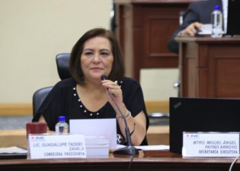 “Guadalupe Taddei, ya se redujo el sueldo” AMLO