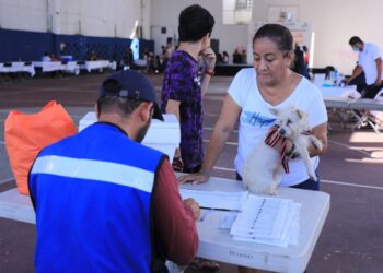 Gobierno busca reducir fauna callejera con esterilizaciones