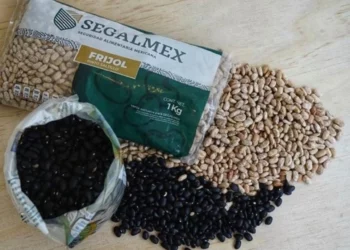 Fraude a Segalmex es de 9 mil 500 mdp y no de 15 mil mdp: Función Pública