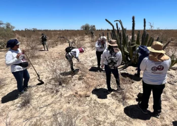 AMLO anuncia que se hará “censo confiable” sobre desaparecidos