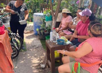 Impulsan huertos orgánicos de autoconsumo y comercialización