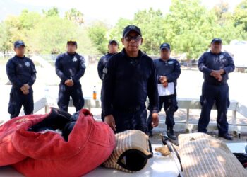 Guardia Estatal de Tamaulipas capacita a nuevos manejadores de perros de guardia y defensa