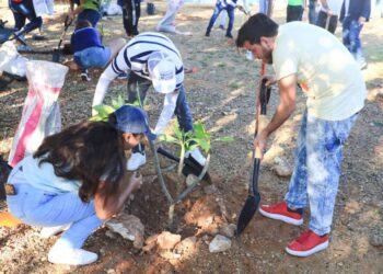 Son restauradas áreas verdes en Villas del Sol