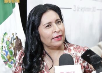 Poder Legislativo, obligado a promulgar leyes para hacer valer derecho a la alimentación: Ana Lilia Rivera