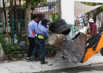 Solidaridad en descenso por casos de dengue