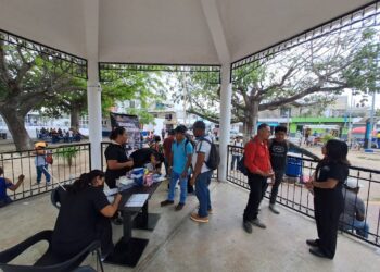 Solidaridad importante generador de vacantes de empleo