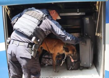 Guardia Estatal de Tamaulipas mantiene vigilancia en centrales de autobuses