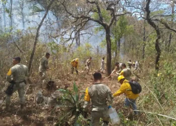 Conafor reporta 113 incendios forestales activos
