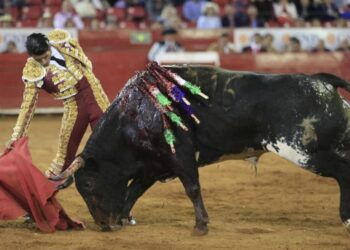 Tauromaquia Mexicana acudirá a tribunales para defender corridas de toros, tras propuesta del Gobierno de CDMX