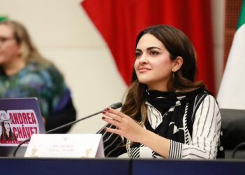Respalda PAN acciones contra Andrea Chávez