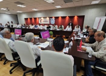 Se suma Gobierno de Tamaulipas a estrategia nacional “Ver por México”