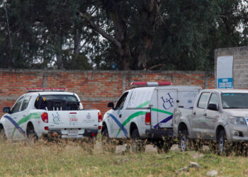 Suman 54 cuerpos recuperados de fosa clandestina en Zapopan