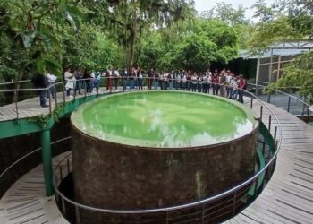 Es el Parque Ecológico Biósfera El Cielo, espacio clave para la educación ambiental y el ecoturismo en Tamaulipas