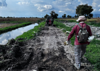 Continúa Gobierno municipal realizando tareas de rehabilitación en San Blas y La Constitución Totoltepec tras desbordamientos