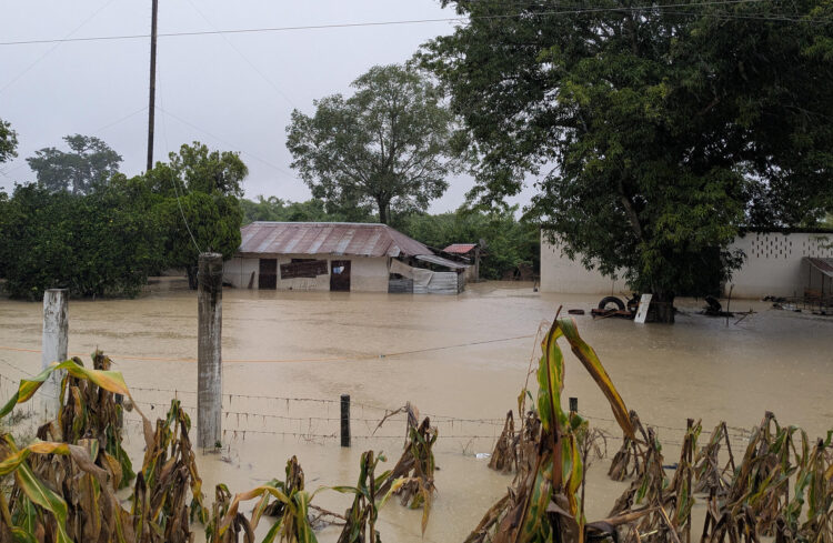 Una vivienda es afectada por las fuertes lluvias este viernes, en la comunidad de Alamo, en el estado de Veracruz (México). EFE/ Miguel Victoria