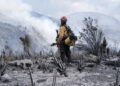Tamaulipas logra la liquidación total del incendio forestal en Bustamante
