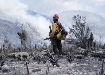 Tamaulipas logra la liquidación total del incendio forestal en Bustamante