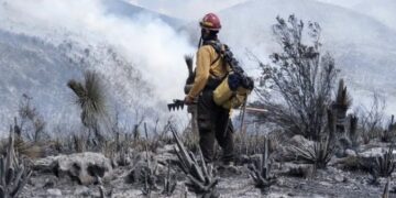Tamaulipas logra la liquidación total del incendio forestal en Bustamante