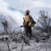 Tamaulipas logra la liquidación total del incendio forestal en Bustamante