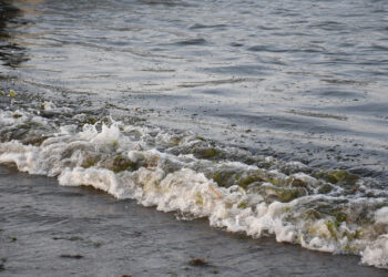 Marina revela tres fuentes del derrame en el Golfo de México