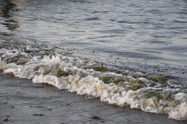 MEX7928. VERACRUZ (MÉXICO), 25/03/2026.- Fotografía que muestra una playa contaminada por derrame de combustible este martes, en Veracruz (México). El estado de Veracruz sufre desde hace 25 días la aparición de manchas de hidrocarburo en diversas regiones de su zona costera, sin que las autoridades hayan identificado el origen del derrame de crudo ni confirmado que se ha detenido. EFE/ Miguel Victória