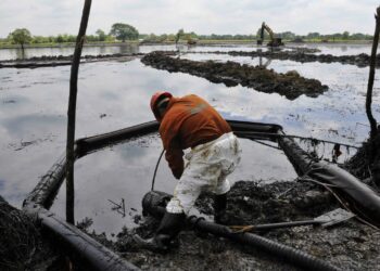 Críticas a Pemex: Oceana tacha de insuficiente su respuesta ante derrame en el Golfo de México