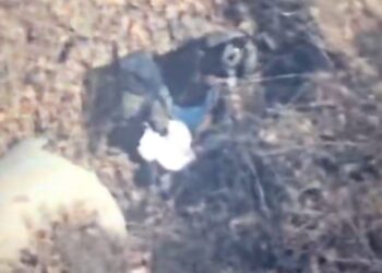 Así cayó “El Jardinero”: 19 meses de inteligencia culminan en captura sin disparos