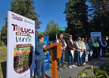 Iniciativa de Ricardo Moreno recupera esplendor de áreas verdes en 6.5 kilómetros de Tollocan