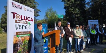 Iniciativa de Ricardo Moreno recupera esplendor de áreas verdes en 6.5 kilómetros de Tollocan